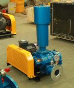 Roots blower maintenance and adjustment gap