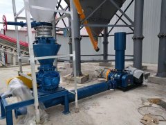 Roots blower for pneumatic conveying