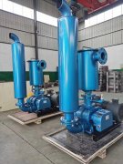 Vacuum feeding Roots vacuum pump
